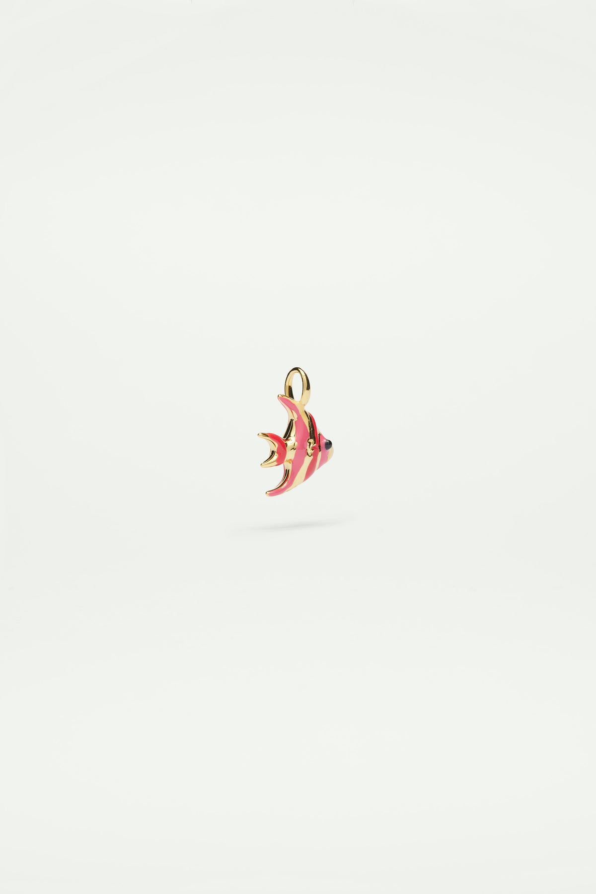 Charm's pez tropical