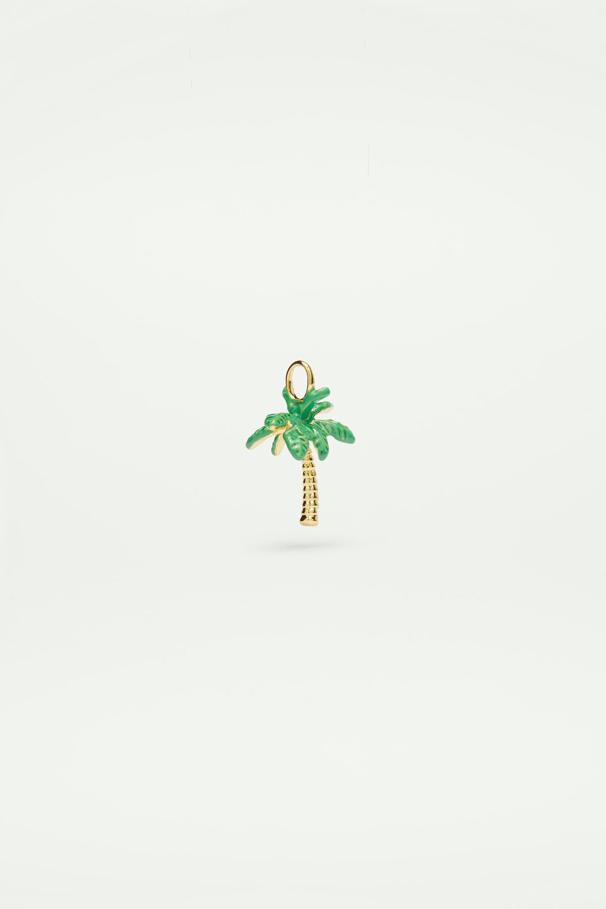 Charm's palmera