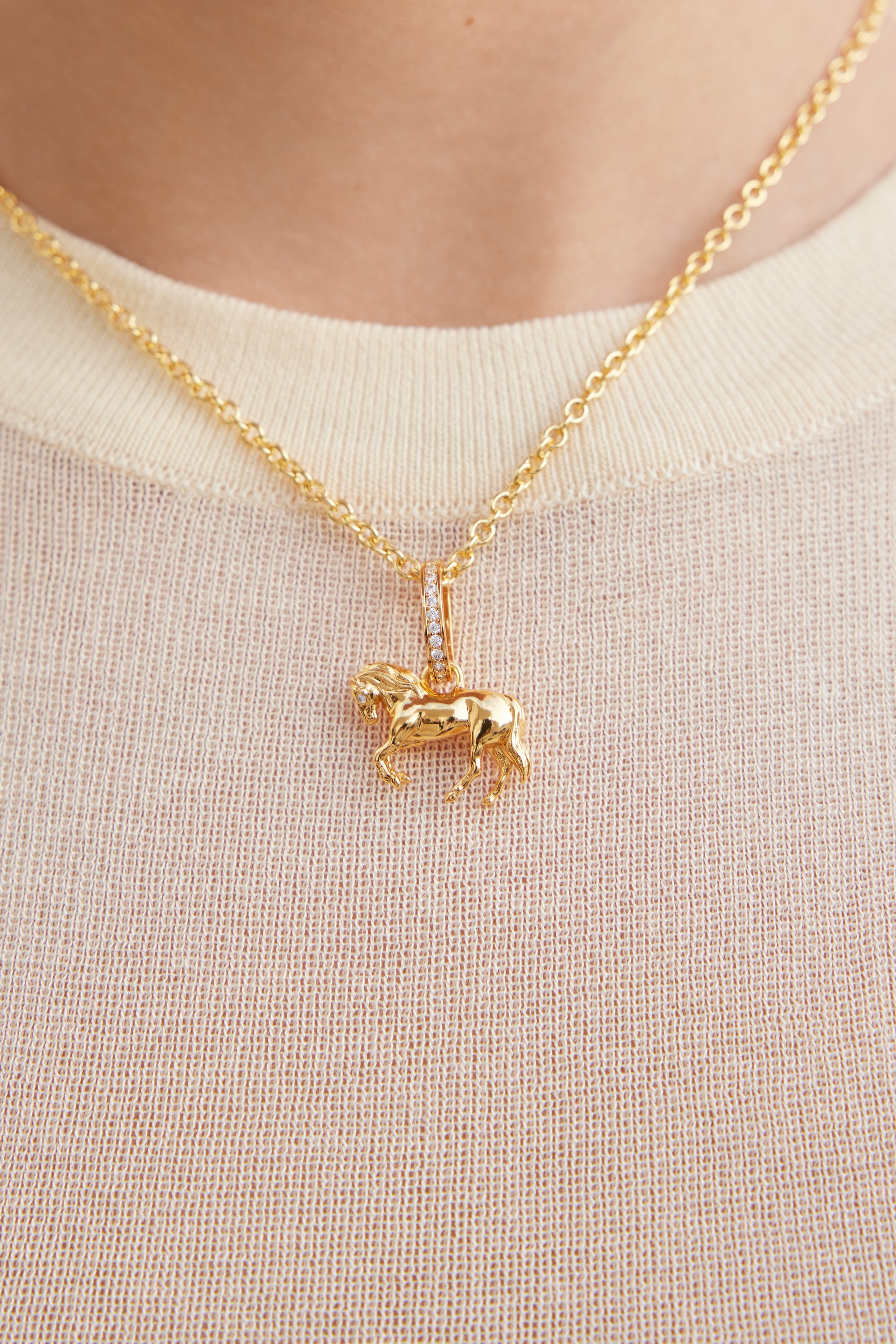 Colgante Caballo dorado, Pasión y curiosidad