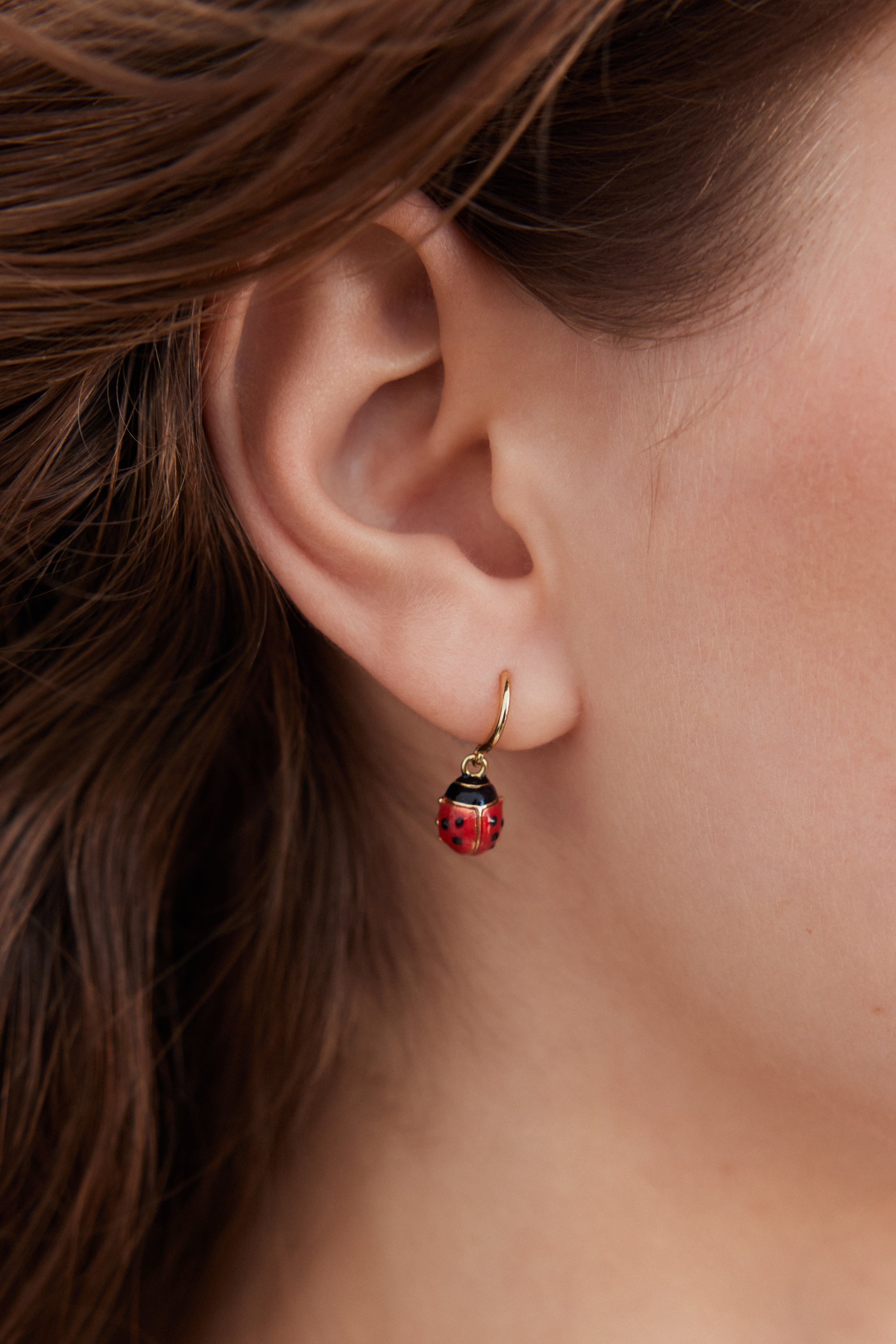 Red and black ladybird hook earrings