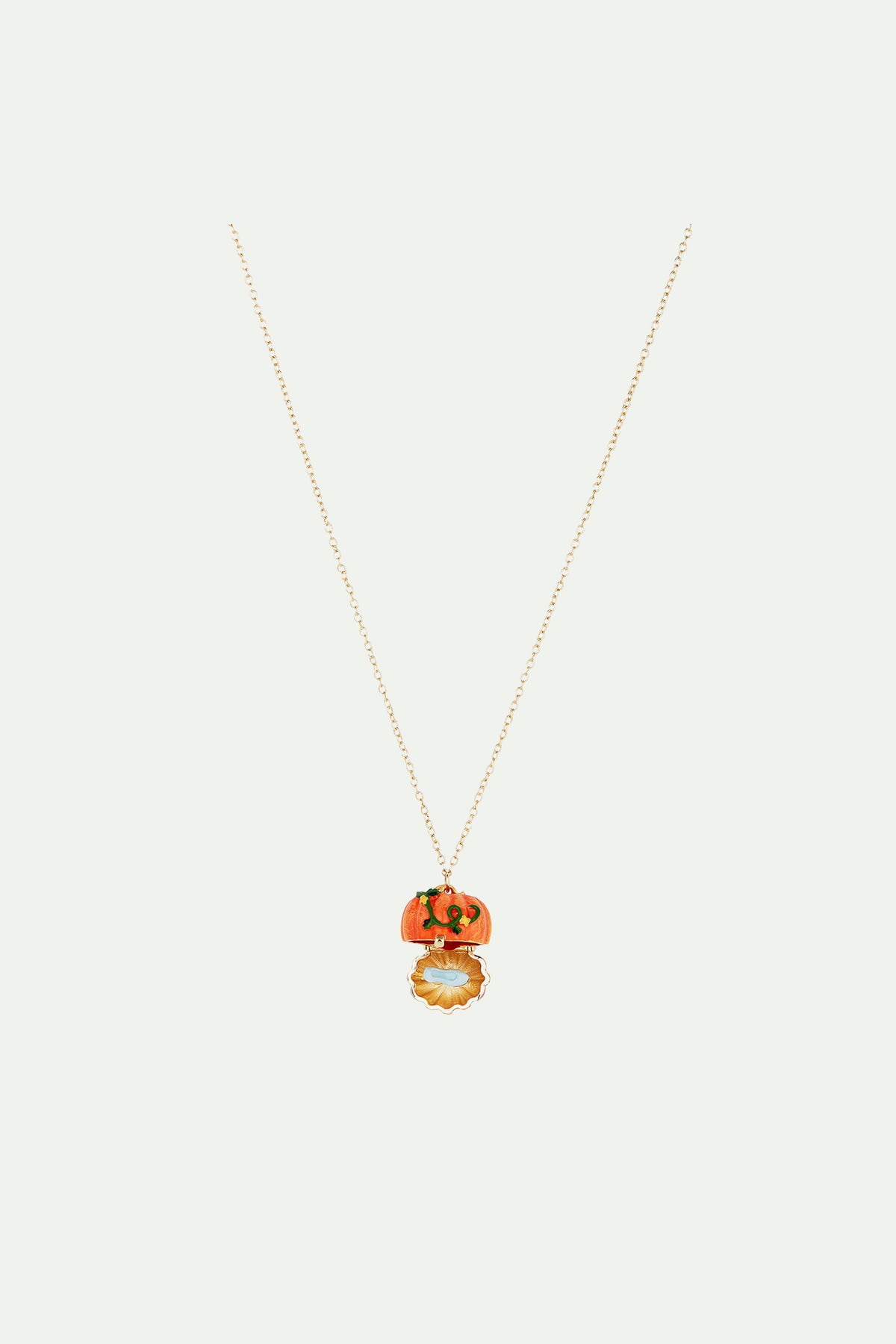 Pumpkin and Slipper secret necklace