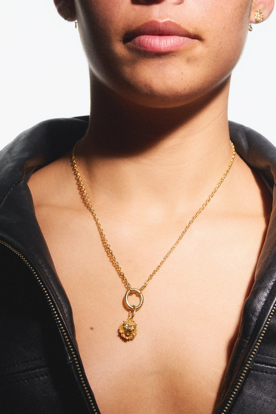 Colgante León, Majestad y Suavidad