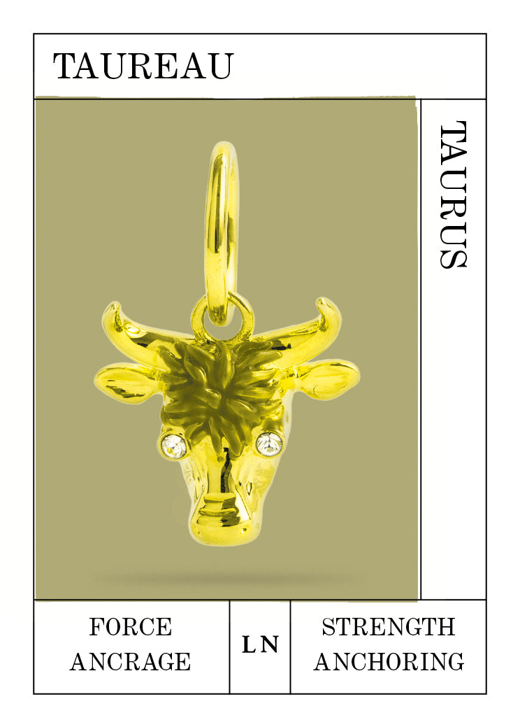 Taurus Pendant, Strength and Anchoring