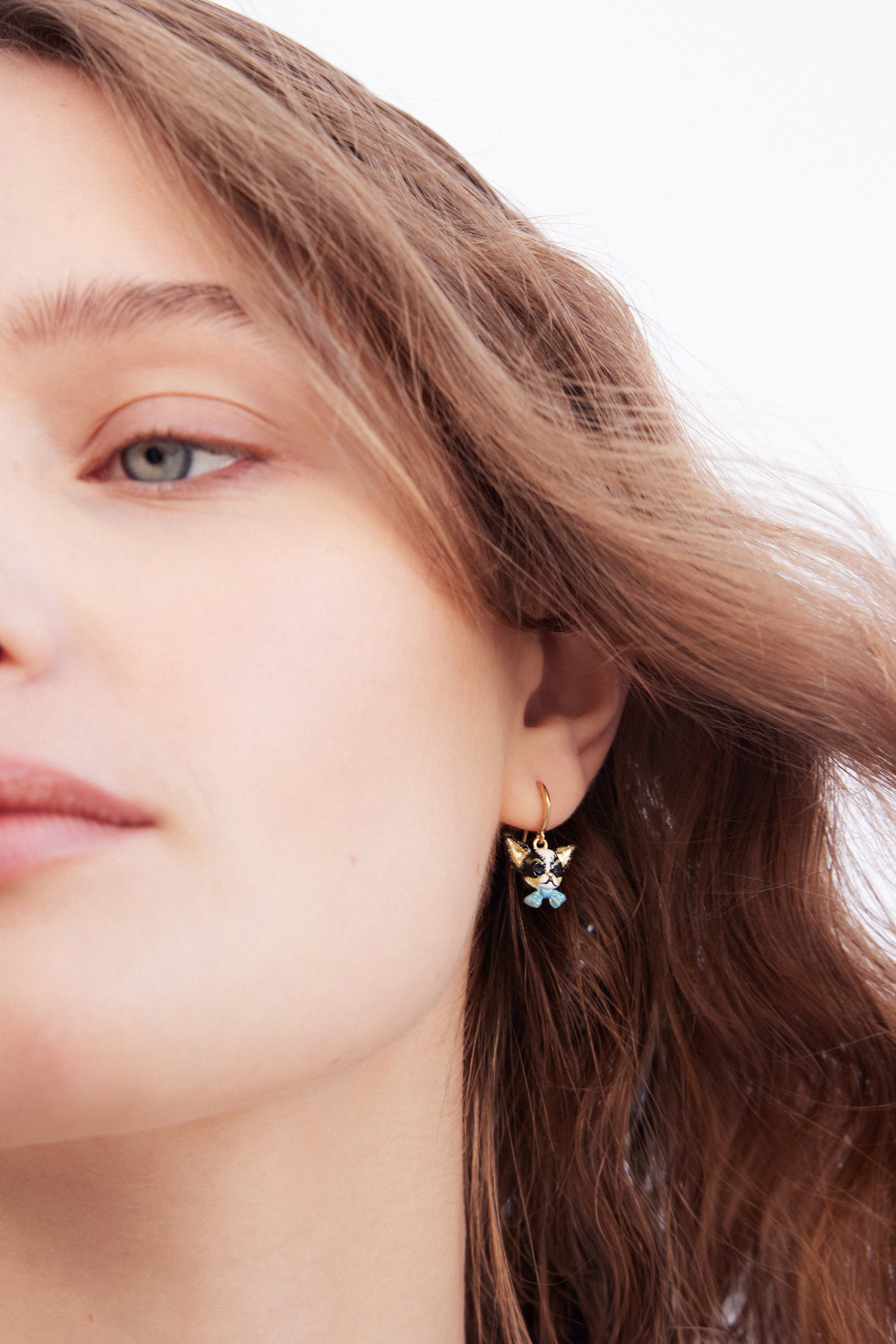Chihuahua and blue bow tie hook earrings