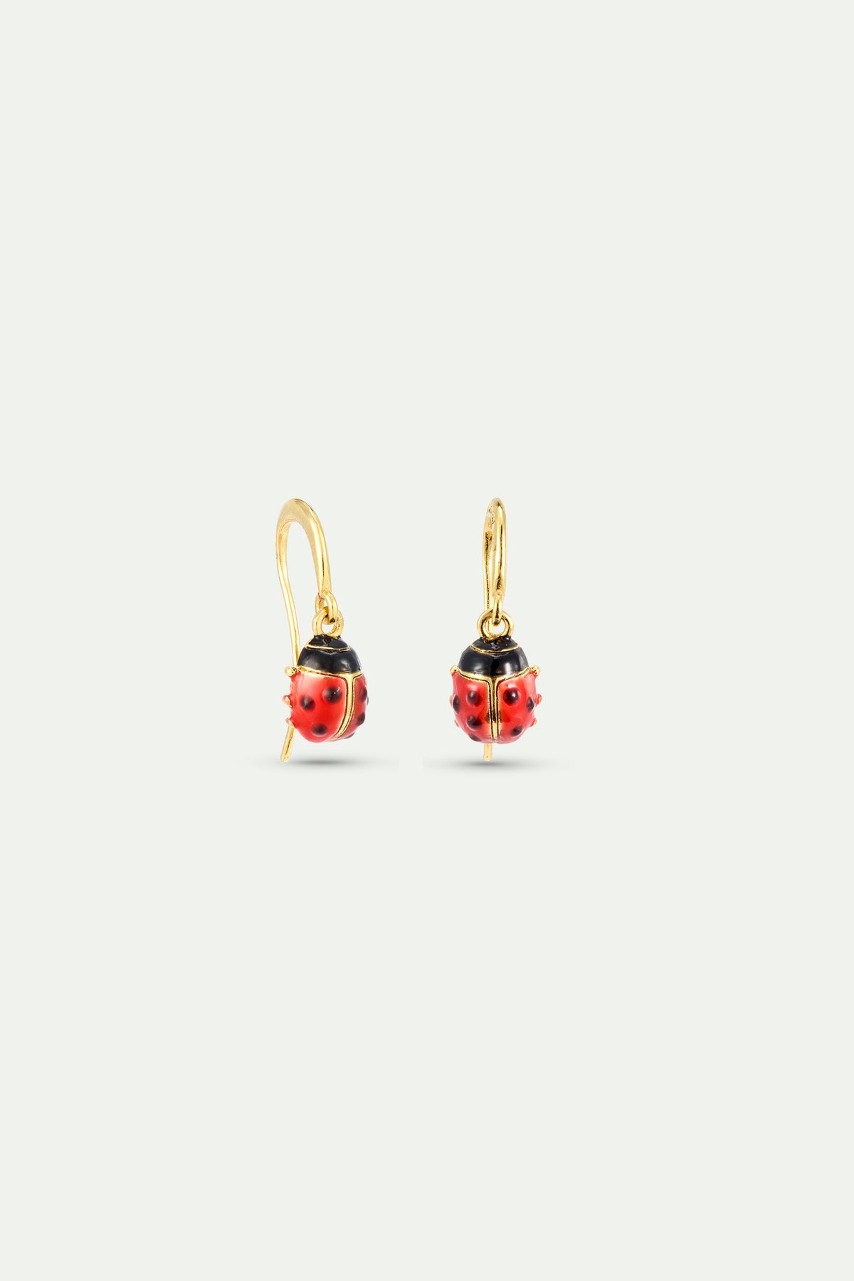 Red and black ladybird hook earrings
