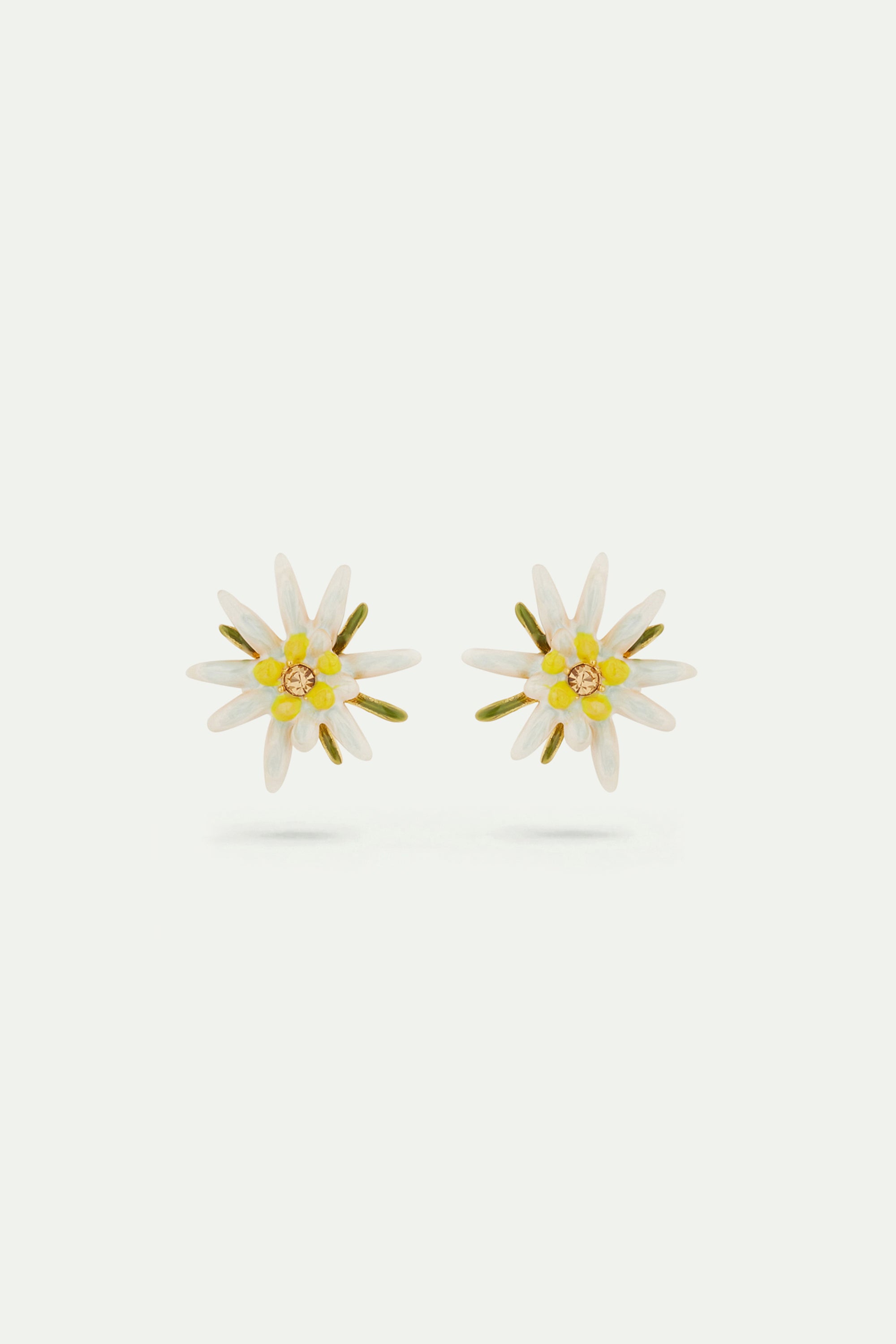 Aretes con flor de Edelweiss