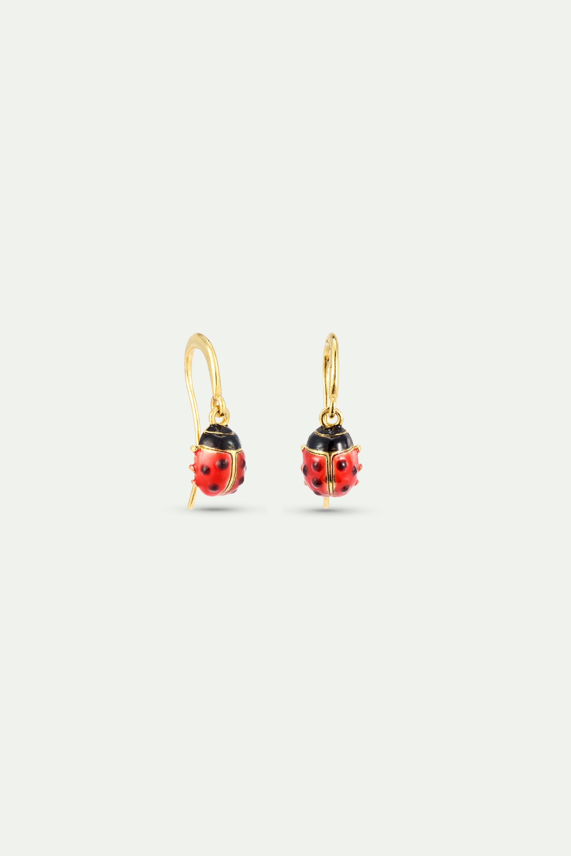 Red and black ladybird hook earrings