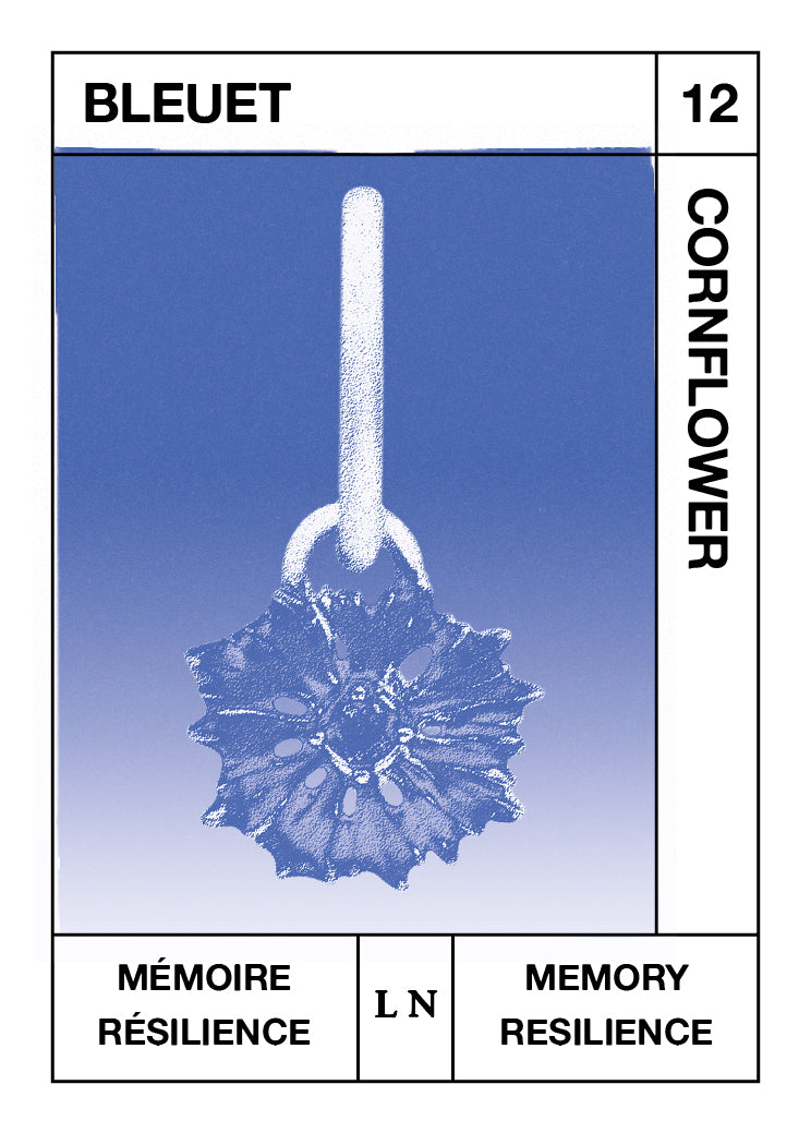 Cornflower Pendant, Memory and Resilience - December